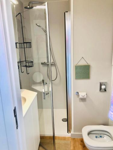 bagno con doccia e servizi igienici. di DeLuxe Studio Sun a Ostenda