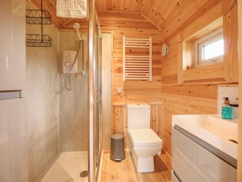 a small bathroom with a toilet and a shower at Honeybee Retreat in Pentney