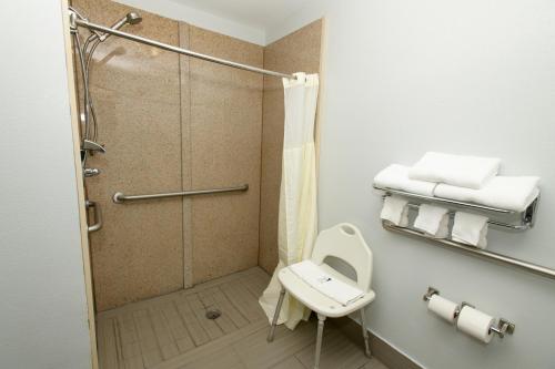 a small bathroom with a shower and a toilet at HomeTown Inn-Ringgold in Ringgold