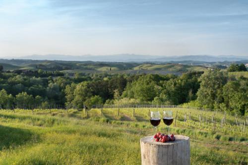 two glasses of wine on a barrel in a field at Villa Noemi in Querce