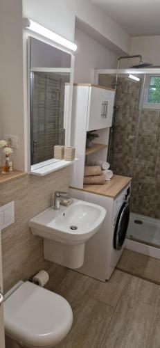 a bathroom with a sink and a toilet and a shower at Apartamentul GAVIOTA in Timişoara