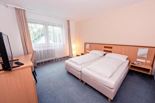 una camera d'albergo con letto e TV di Hotel Wiental a Pressbaum