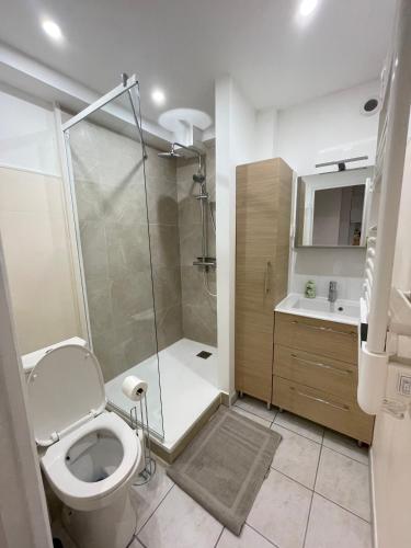 une salle de bain avec une douche, des toilettes et un lavabo dans l'établissement Appartement cosy, à Six-Fours-les-Plages