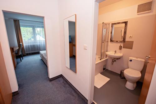 a bathroom with a toilet and a sink and a mirror at Hotel Wiental in Pressbaum