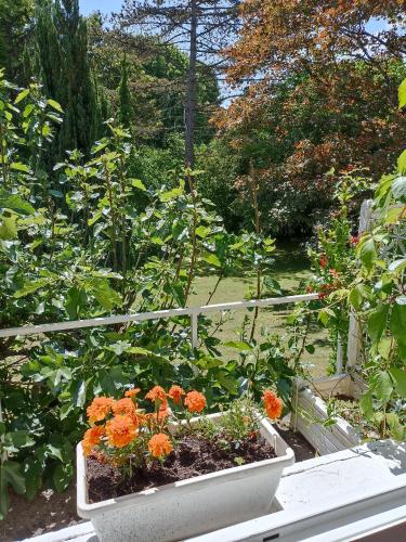 a garden with orange flowers in a white planter at Maison de village en bord de rivière in Narcy