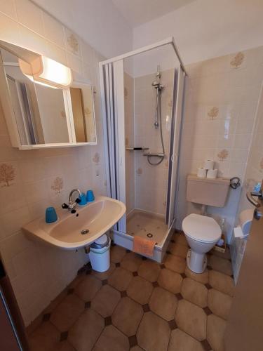 uma casa de banho com um chuveiro, um lavatório e um WC. em Urlaub am Bauernhof Familie Kitting em Vorau