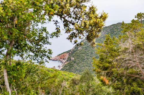 a view of the ocean from the trees at Tenuta Agricola dell'Uccellina in Talamone