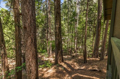 a view of the woods from inside a house at Northern Queen Inn in Nevada City