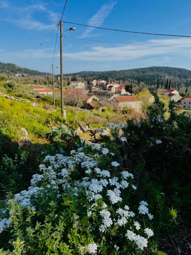 a field of flowers with a town in the background at Country House Bakicevo in Čilipi