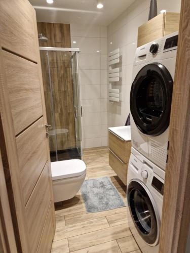 プシェムィシルにあるApartament Luxoryのバスルーム(洗濯機、トイレ付)