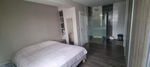 a small bedroom with a bed and a walk in shower at Chambre n°2 dans logement - Chez Ana in Changé
