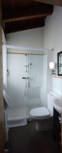 a bathroom with a shower with a toilet and a sink at HOTEL RURAL LA ENGAÑA in Pedrosa