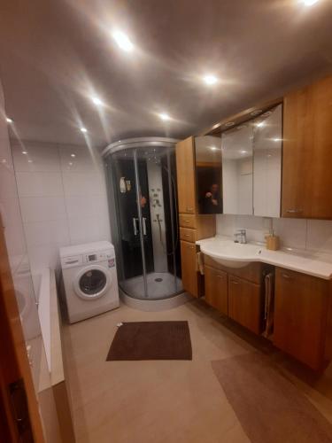 a bathroom with a shower and a washing machine at One Bedroom Apartment with Panoramic views in Piesendorf