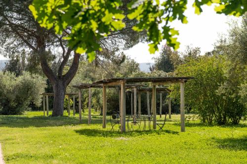 a picnic shelter in a park with a tree at Tenuta Agricola dell'Uccellina in Talamone