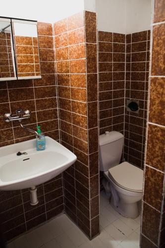 a bathroom with a sink and a toilet at Penzion Diana in Železná Ruda