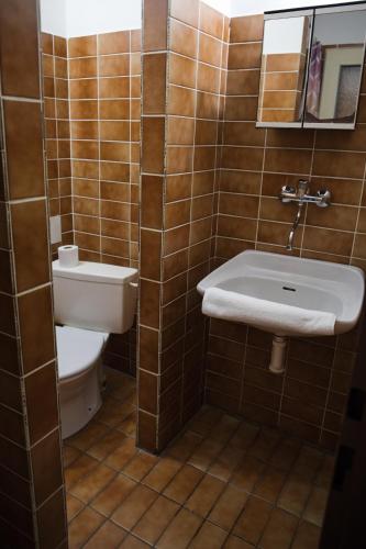 a bathroom with a toilet and a sink at Penzion Diana in Železná Ruda