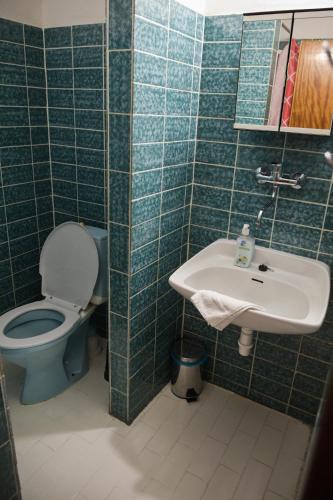 a bathroom with a toilet and a sink at Penzion Diana in Železná Ruda