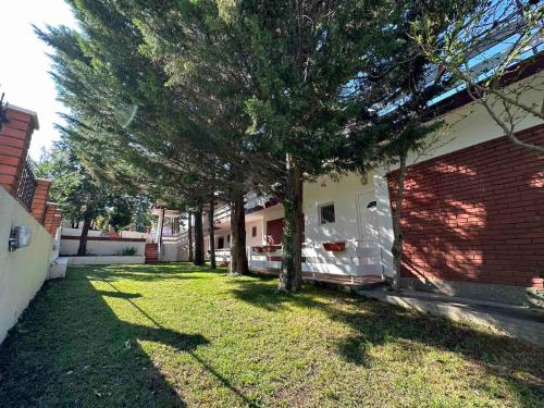 a tree in a yard next to a house at Aqualux Apartments in Star Dojran