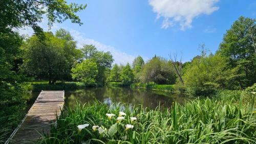 a wooden bridge over a river in a park at Château Belle Epoque - Chambres d'Hôtes & Gîtes in Linxe