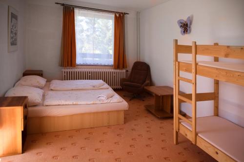 a bedroom with a bunk bed and a ladder at Penzion Diana in Železná Ruda