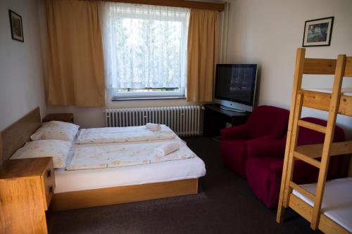 a bedroom with a bed and a chair and a television at Penzion Diana in Železná Ruda