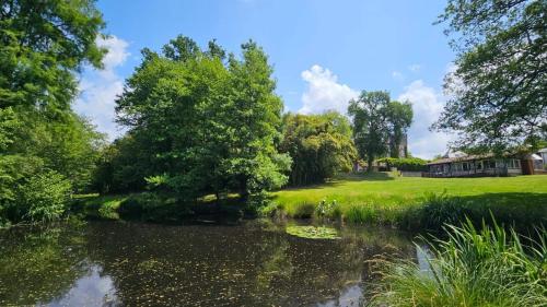 a pond with trees and a house in the background at Château Belle Epoque - Chambres d'Hôtes & Gîtes in Linxe