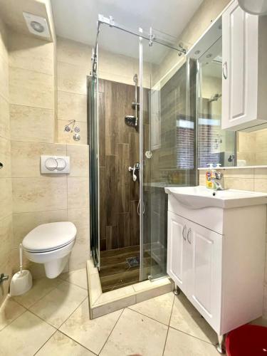 a bathroom with a shower and a toilet and a sink at Bucanero Apartments Budva in Budva