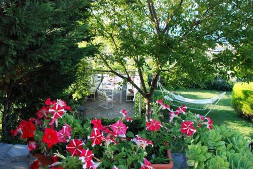 Kebun di luar Evelina - Home with View