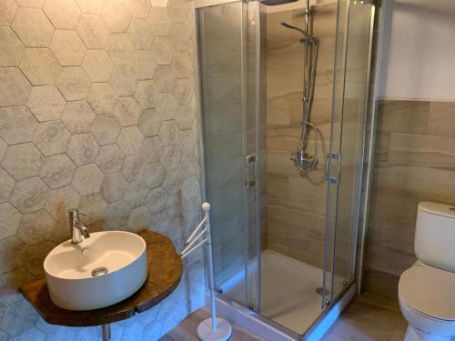 La salle de bains est pourvue d'un lavabo et d'une douche. dans l'établissement Agriturismo Al Vecio Caselo (Casa Maga), à Arsiero