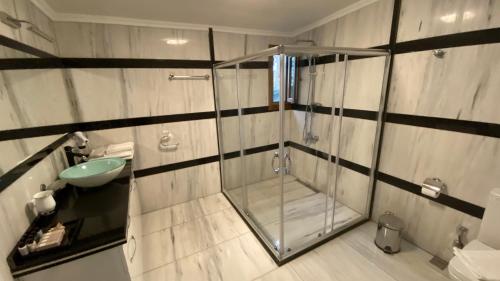 y baño con ducha y lavamanos. en Palm Beach Şile Villa Hotels, en Estambul