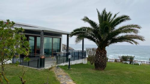a palm tree in front of a house next to the ocean at Palm Beach Şile Villa Hotels in Istanbul