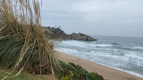 a beach with some grass and the ocean at Palm Beach Şile Villa Hotels in Istanbul