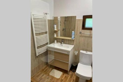 een badkamer met een witte wastafel en een toilet bij CASA DRENCOVA SRL in Berzasca