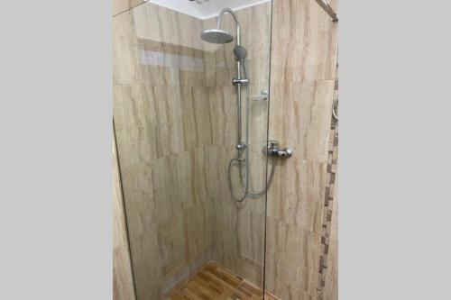 a shower with a glass shower head in a bathroom at CASA DRENCOVA SRL in Berzasca