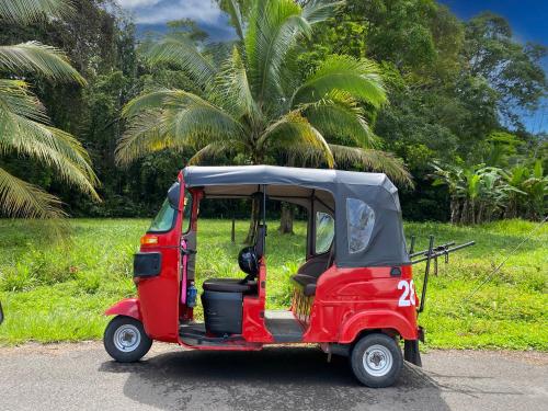 a small red golf cart parked on the road at Private Villa on 2-Acres of Jungle Garden & Pool in Manzanillo