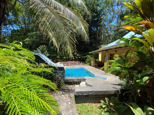 a swimming pool in the middle of a garden at Private Villa on 2-Acres of Jungle Garden & Pool in Manzanillo