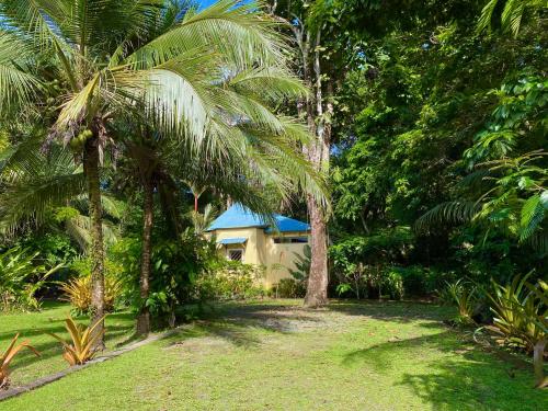a house in the middle of a yard with palm trees at Private Villa on 2-Acres of Jungle Garden & Pool in Manzanillo