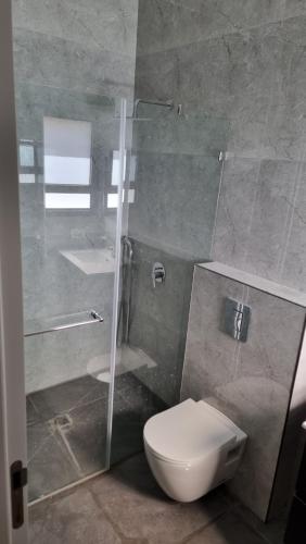 W łazience znajduje się toaleta i przeszklony prysznic. w obiekcie adii villa w mieście Baraq