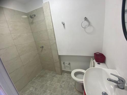 y baño con ducha, aseo y lavamanos. en La casita de max y tim apartaestudio 4to piso en Cartagena de Indias