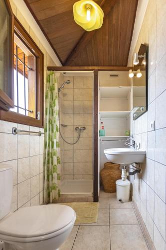 une salle de bain avec une douche, des toilettes et un lavabo dans l'établissement Petite Maison En Bois Exotique, à Figari