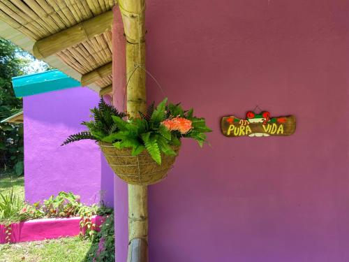 Κήπος έξω από το Casa Lavanda in tropical jungle garden