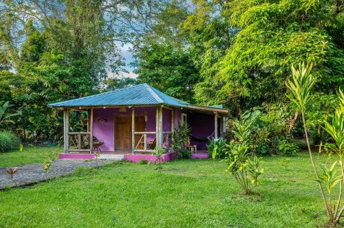Κήπος έξω από το Casa Lavanda in tropical jungle garden
