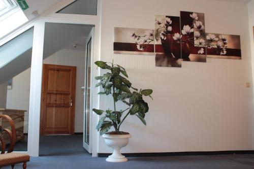 a plant in a vase on a wall with paintings at Hotel Stadt Pausa in Pausa