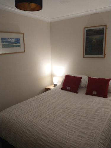 a bedroom with a large bed with red pillows at Snowberry Cottage in Borve