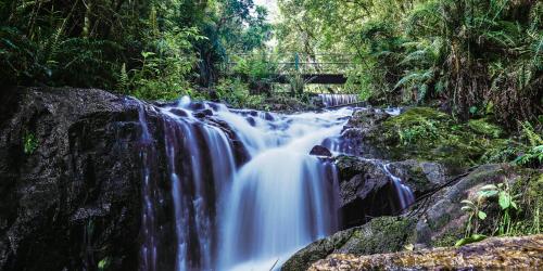 a waterfall in the middle of a forest at Hotel Boutique Vinícola Araucária by Slaviero Hotéis in São José dos Pinhais