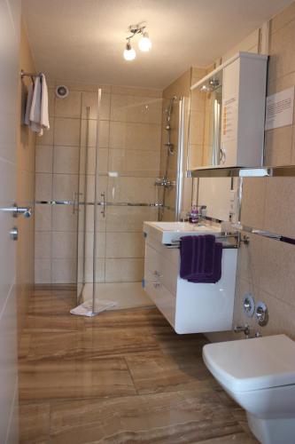 La salle de bains est pourvue d'un lavabo, d'une douche et de toilettes. dans l'établissement Bodensee Pension, à Überlingen