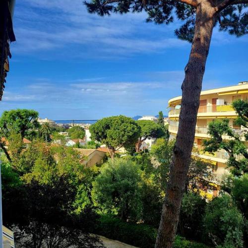 une vue d'un bâtiment et d'arbres et d'un arbre dans l'établissement Grand studio localisation idéale, à Antibes