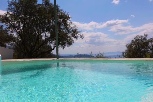 une grande piscine d'eau bleue avec des arbres en arrière-plan dans l'établissement Admonis - Home in the olive grove, à Melissátika