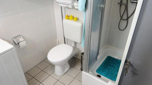 ハノーファーにあるApartment in Kronsbergの小さなバスルーム(トイレ、シャワー付)
