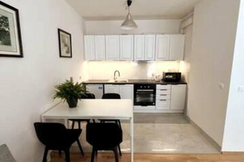 Kuhinja oz. manjša kuhinja v nastanitvi Apartment Kabacki Dukt